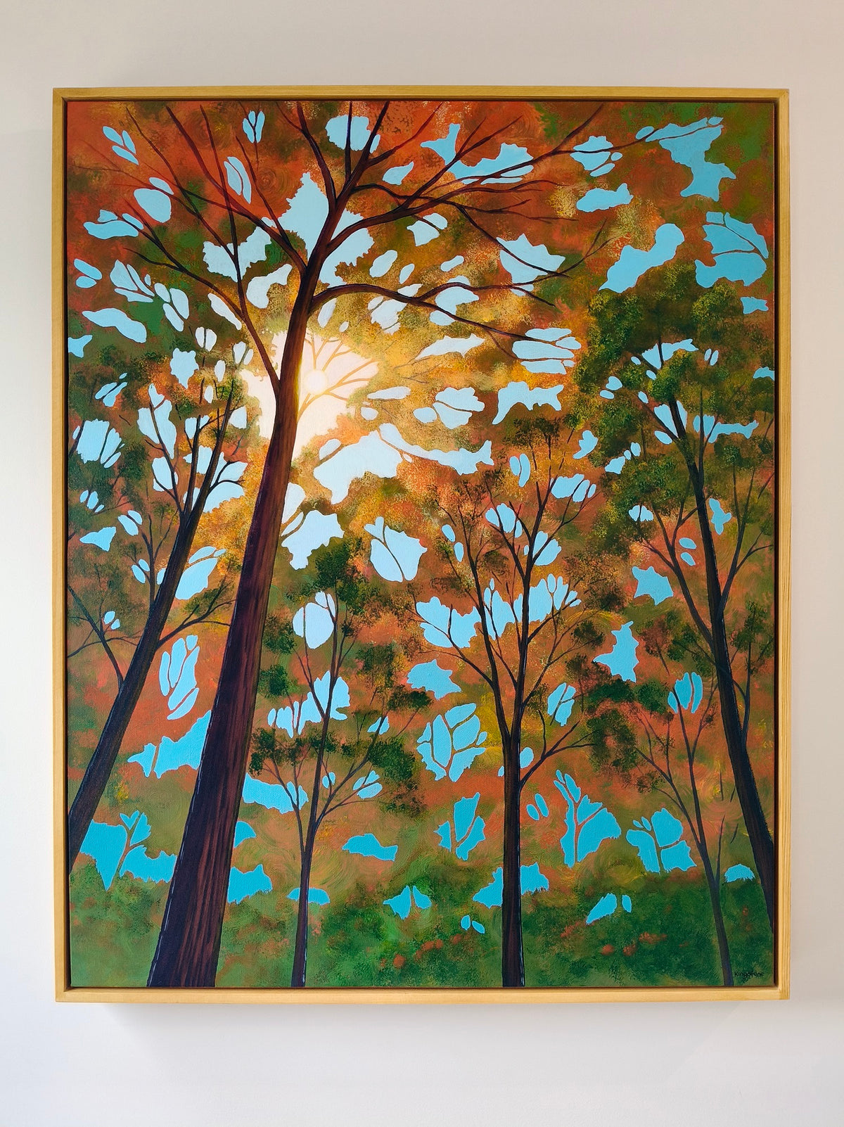 Canopy of Light