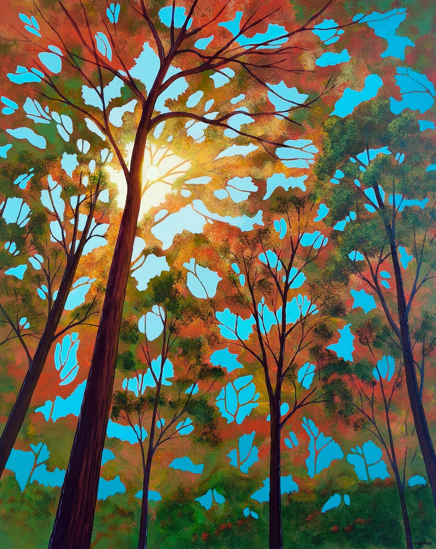 Canopy of Light